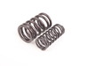 Schrick Schrick Valve Spring Set - E30 325i M20 engine 005602022-062 View 2