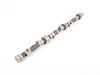 Schrick BMW M30 6 Cyl. 284-Degree - Motronik- Camshaft 002201840-04 View 1