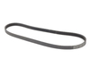 Genuine BMW Genuine BMW Ribbed V-Belt 4Pk X 830 - 64557793608 64557793608 View 4