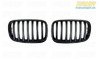 Turner Motorsport Black Center Grills - E70 X5, E71 X6 BM-0224 View 8