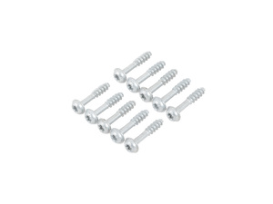 Securing Screw - Pack Of 10 