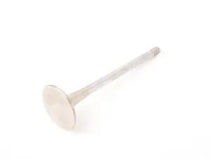 Genuine BMW Exhaust Valve - 11341433699 - E38,E39,E53