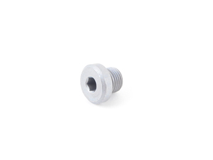Genuine BMW Screw Plug, Inner Hexagon - 24117533656 - E39,E46,E53,E83
