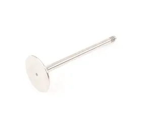 
Intake Valve - Priced Each