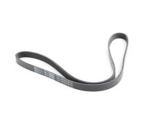 Multi Rib Accessory Belt - 1367
