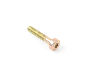 Genuine BMW Torx Bolt M6X35 - 11141433439 - E34,E38,E39,E53,E39 M5