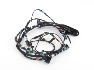 Genuine BMW Wiring Set, Door, Driver - 61129259814 - E92