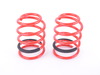 Megan Racing Lowering Spring Kit - E92  MRLSE92 View 2