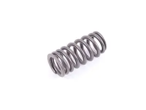 Genuine BMW Valve Spring - 11347563460