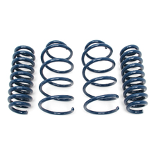 E92 335i/xi Dinan Performance Spring Set