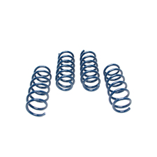 Performance Spring Set - F10 550i