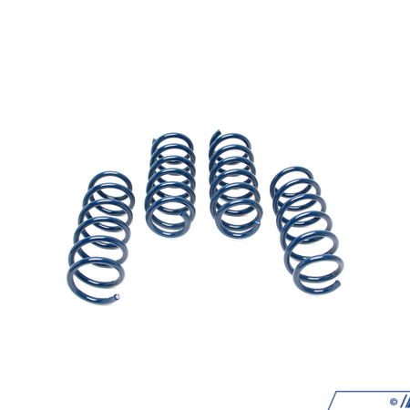 Dinan F10 550i/iX Dinan Performance Spring Set D100-0902