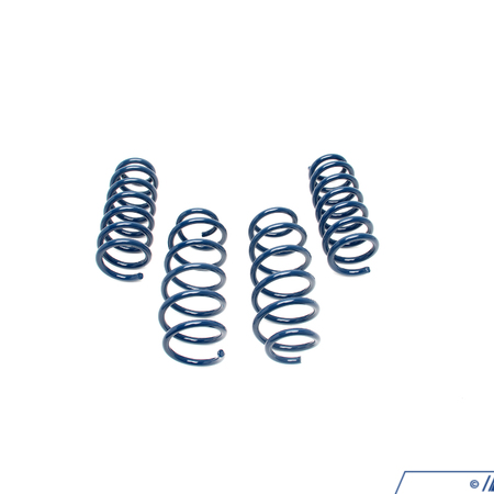 Dinan F01 750i/iX Dinan Performance Spring Set D100-0906