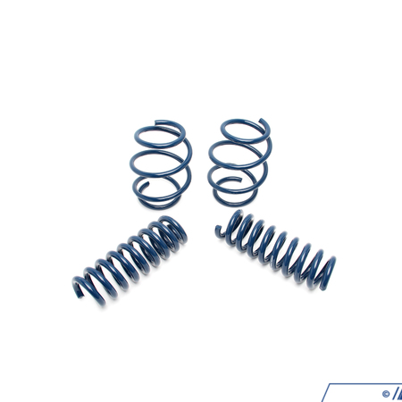 Dinan F30 335iX/340iX Dinan Performance Spring Set D100-0912