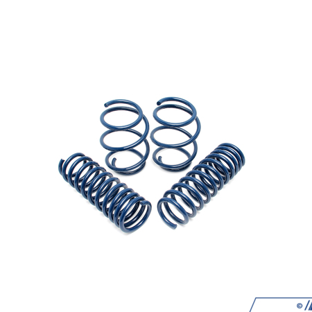 Dinan Dinan Performance Spring Set - E60 M5 D100-0913
