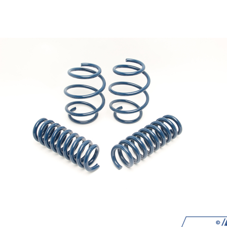 Dinan F32 435iX/440iX Dinan Performance Spring Set D100-0920
