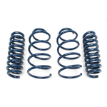 Dinan E90 335xi Dinan Performance Spring Set E90-D100-0925