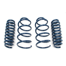 Performance Spring Set