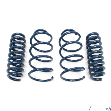 Dinan Performance Spring Set D100-0925