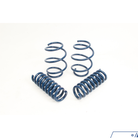 Dinan Performance Spring Set D100-0931
