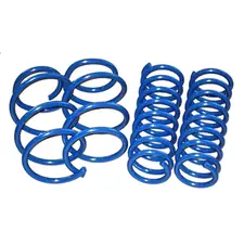 Performance Spring Set