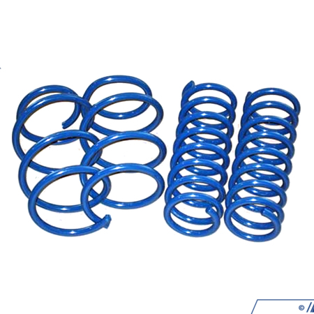Dinan Performance Spring Set D100-0470