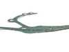 Genuine BMW Genuine BMW Gasket Asbestos Free - 11141720639 - E34,E36,E36 M3 11141720639 View 3