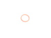 Genuine MINI Genuine MINI Gasket Ring 14X18 - 24117518710 - (NO LONGER AVAILABLE) 24117518710 View 1