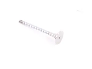 TRW Exhaust Valve - E30, E34, E36