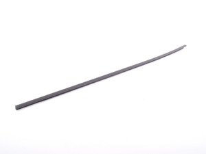 Genuine BMW Outer Weatherstrip, Rear Lef - 51352990315