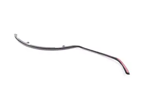 Genuine BMW Seal, C-Pillar, Left - 51767305545 - F15