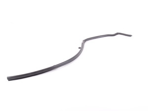 Genuine BMW Seal, C-Pillar, Right - 51767305546 - F15