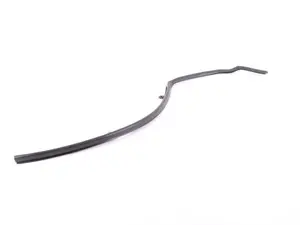 Genuine BMW Seal, C-Pillar, Right - 51767305546 - F15