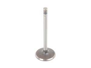 Intake Valve - Priced Each