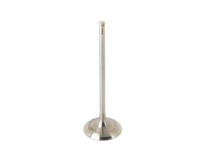 Genuine BMW Intake Valve - N52 3.0L