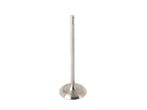 Genuine BMW Intake Valve - N52 3.0L