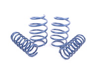 Dinan E39 M5 Dinan Performance Spring Set D100-0479