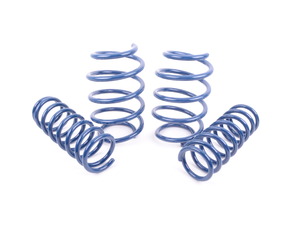 Performance Spring Set