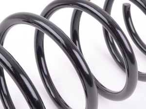 Front Coil Spring