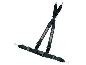 Schroth Rallye 4 Harness