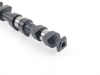 Schrick 0261 E1 521-V0 252 Inlet camshaft TMS300323 View 2