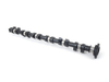 Schrick 0261 E1 521-V0 252 Inlet camshaft TMS300323 View 1