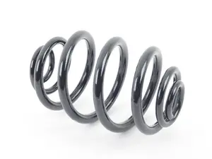 Rear Coil Spring - Heavy Duty
