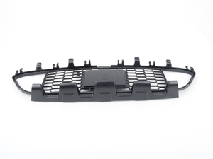 Genuine BMW Lower Center Grille
