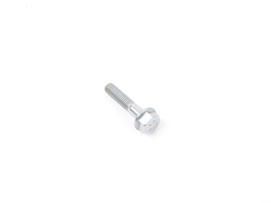 FLANGE SCREW