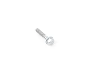 FLANGE SCREW