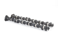 Schrick E36 M3 EURO 3.2 (double-VANOS) Schrick Performance Camshaft Set TMS4072