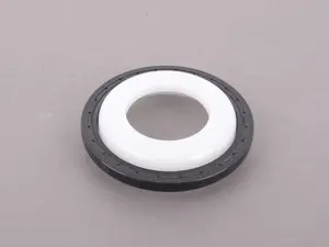 Shaft Seal 