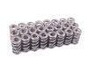 Supertech Supertech High Performance Valve Spring Set - E46 M3, MZ3 (S54), MZ4 TMS11760 View 3