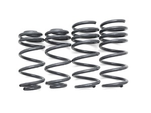 Dynamic+ Performance Lowering Springs